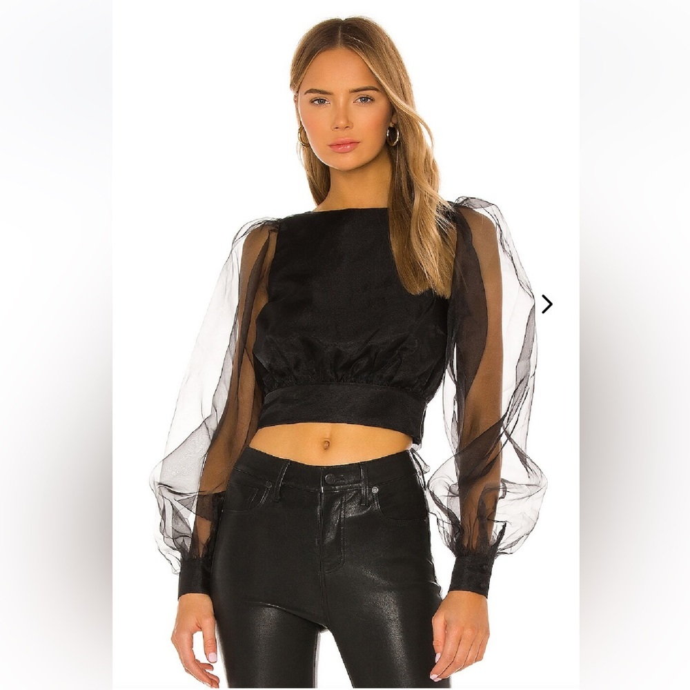 Lovers & Friends Organza Top - Picture 6 of 7